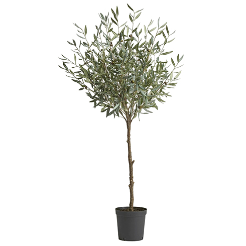 Олива Топиари Шар (серия Prime) 145 см