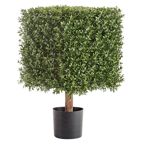 Самшит квадрат уличный на каркасе 65 см