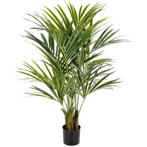 Пальма Кентия (Ховея) де Люкс 140 см