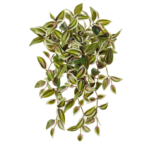 Традесканция зелено-бело-розовая ампельная 40 см