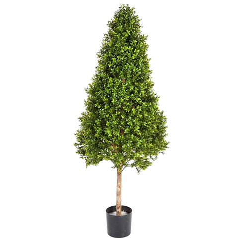 Самшит Тауэр 140 см