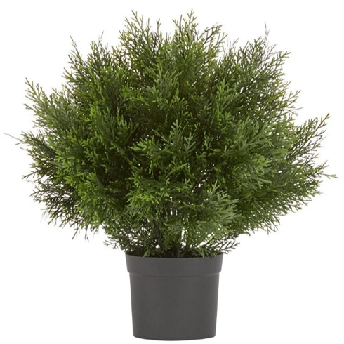 Туя Брабант пушистая шаровидная уличная 80 см 