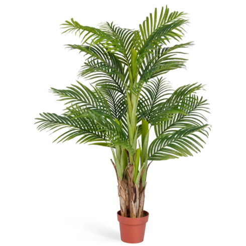 Пальма Арека Катеху 140 см