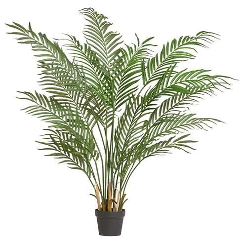 Пальма Арека Форест 140 см