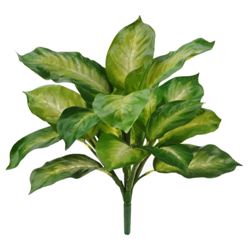 Диффенбахия золотая куст 40 см