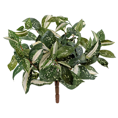 Тини Корделина бело-зеленая 30 см