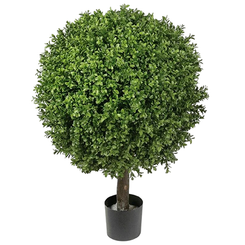 Самшит Шар уличный на коротком стволе 30 см
