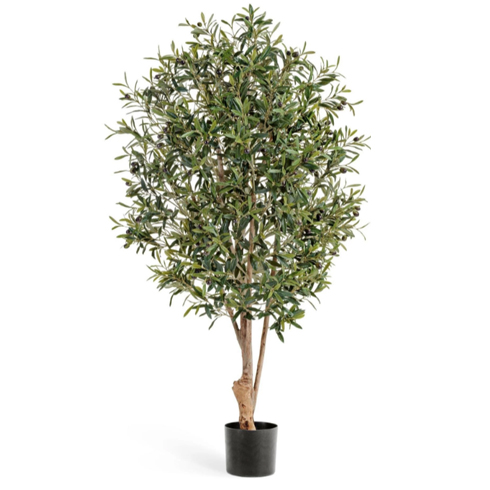 Олива Твист с плодами 110 см