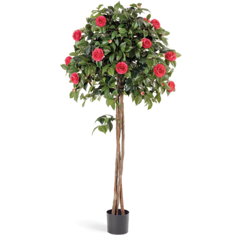 Камелия на штамбе темно-розовая 130 см