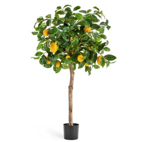 Лимонное дерево с плодами на штамбе 110 см