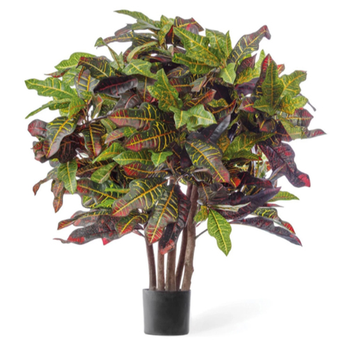 Кротон Шар 90 см