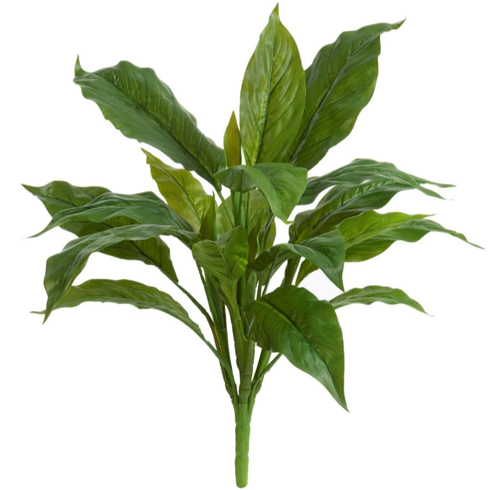 Спацифилум куст Мидл зелёный (Sensitive Botanic) 35 см