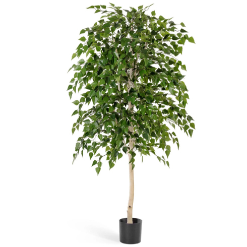 Береза натуральная 140 см