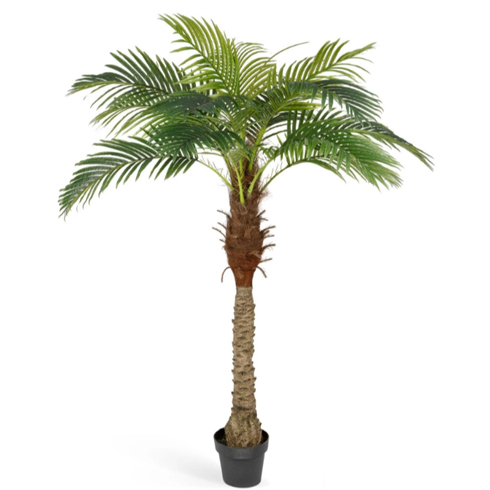 Финиковая пальма Новая 190 см