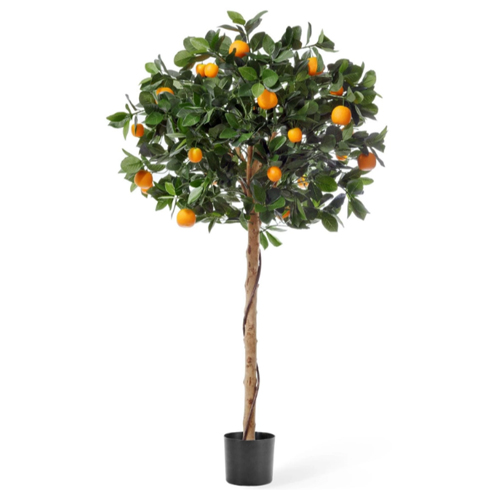 Мандарин Голден Оранж штамбовый 120 см