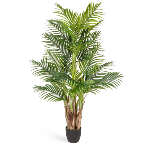 Пальма Арека Бетель 5 стволов 130 см