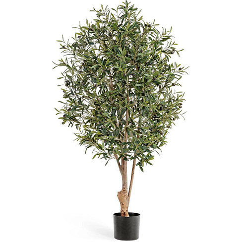 Олива Твист с плодами 170 см