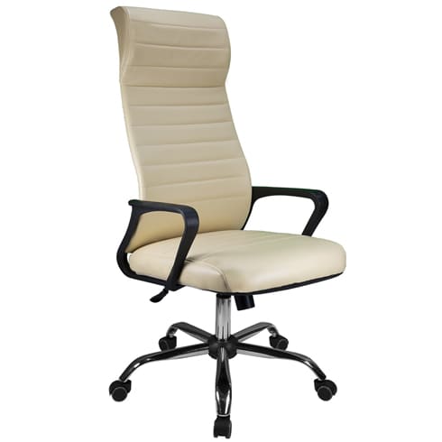 Офисное кресло Riva RCH RUSSIA 1165-5 НР