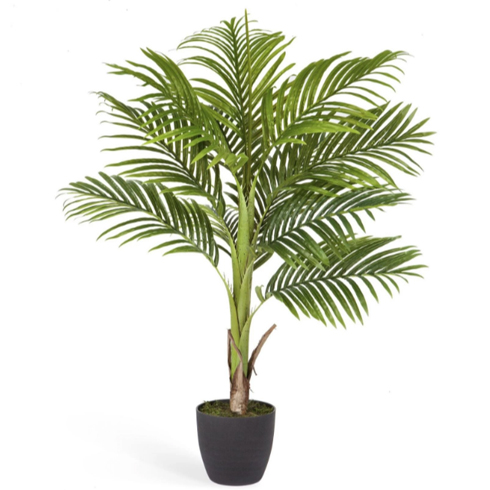 Пальма Арека Бетель 110 см