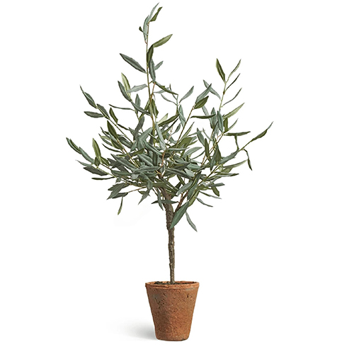 Олива Элегант (серия Prime) в керамическом кашпо 85 см