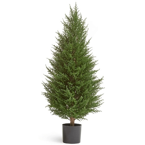 Кипарис Тауэр Элегант уличный 90 см