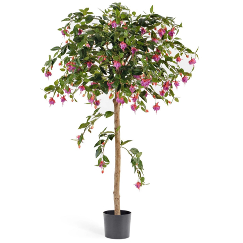 Фуксия зонтичная 140 см