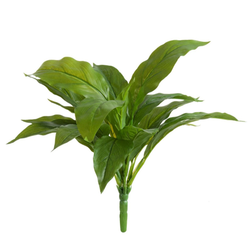 Спацифилум-мини куст зелёный (Sensitive Botanic) 20 см