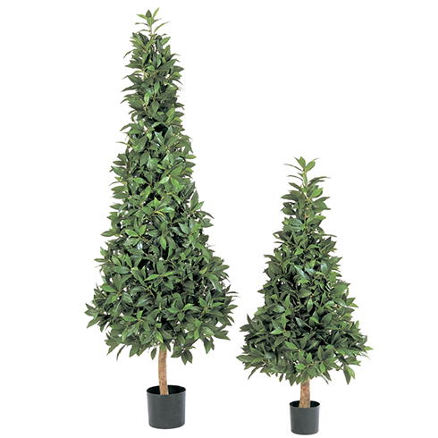 Лавр пирамида люкс 110 см