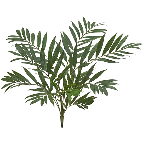 Пальма Хамедорея куст 75 см