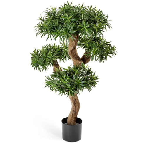 Подокарпус горный Элит 110 см