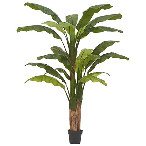 Банановое дерево 210 см