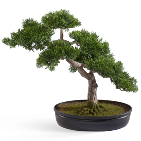 Бонсай Сосна-мини в кашпо 40 см