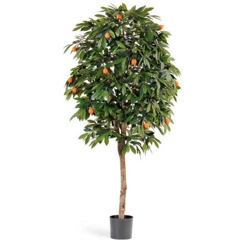 Мандарин Оранж 110 см
