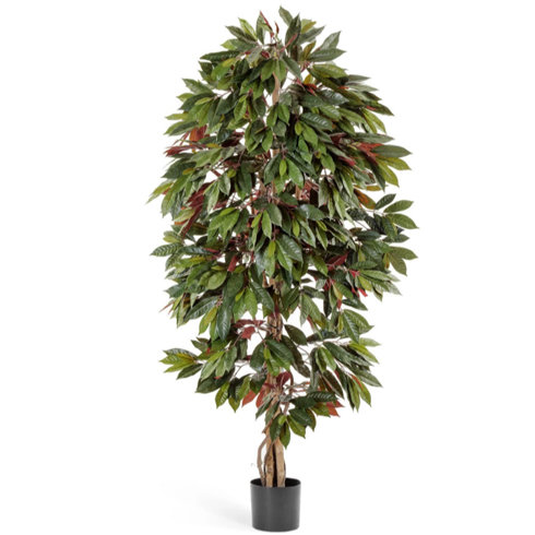 Капенсия 150 см