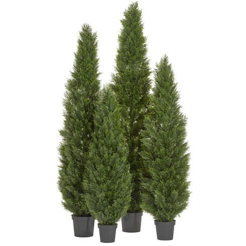 Туя Брабант пушистая уличная 150 см 