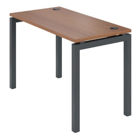 Стол прямой 160 см (глубина 60 см) Арго АМ-004.60