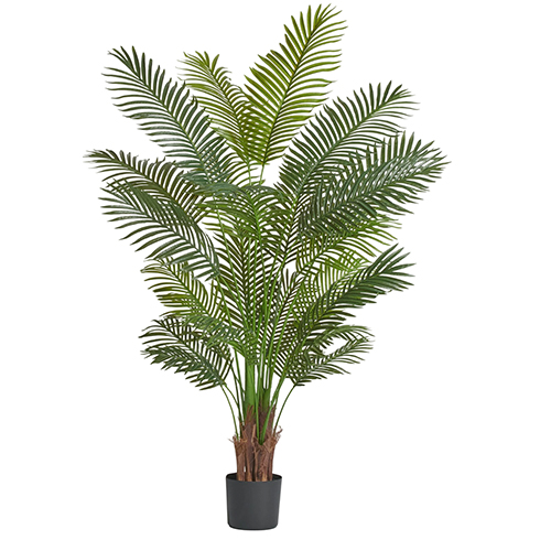 Пальма Арека Хризалидокарпус New 180 см