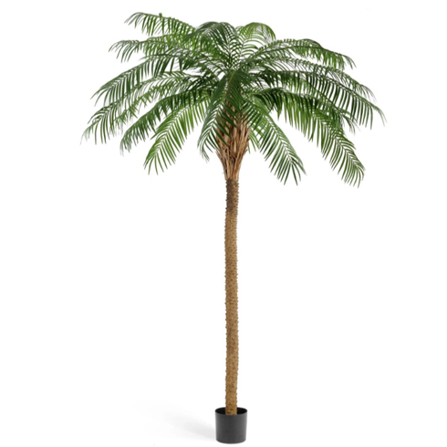 Финиковая пальма де Люкс 300 см