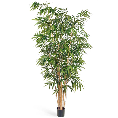 Бамбук Новый Биг Лиф 300 см