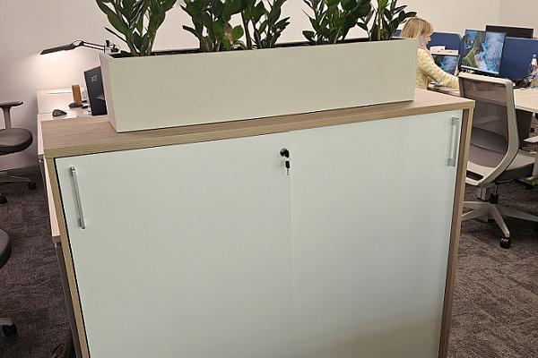 ИДС Боржоми