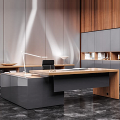 Мебель руководителя Art.Neo